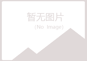 大同县冰夏水泥有限公司